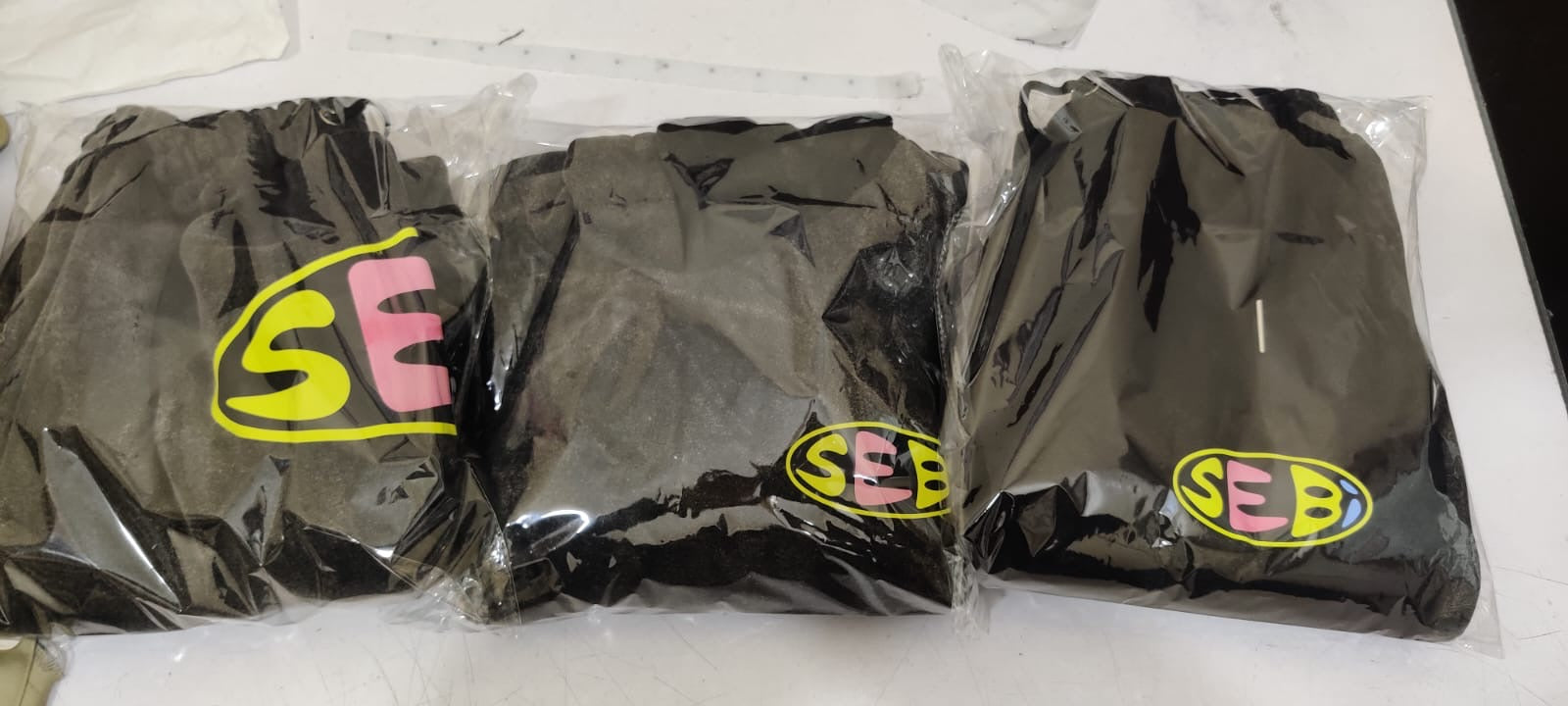 SEBI Hoodie